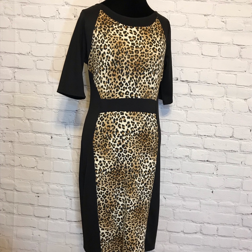 Drama Gold Leopard/Black Shift Dress